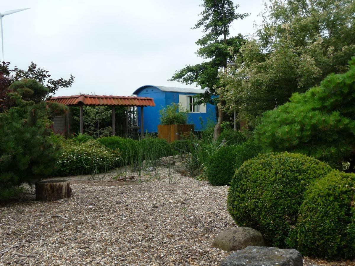 B&B “Te Warskip Bij Blokvis” Medemblik Dış mekan fotoğraf